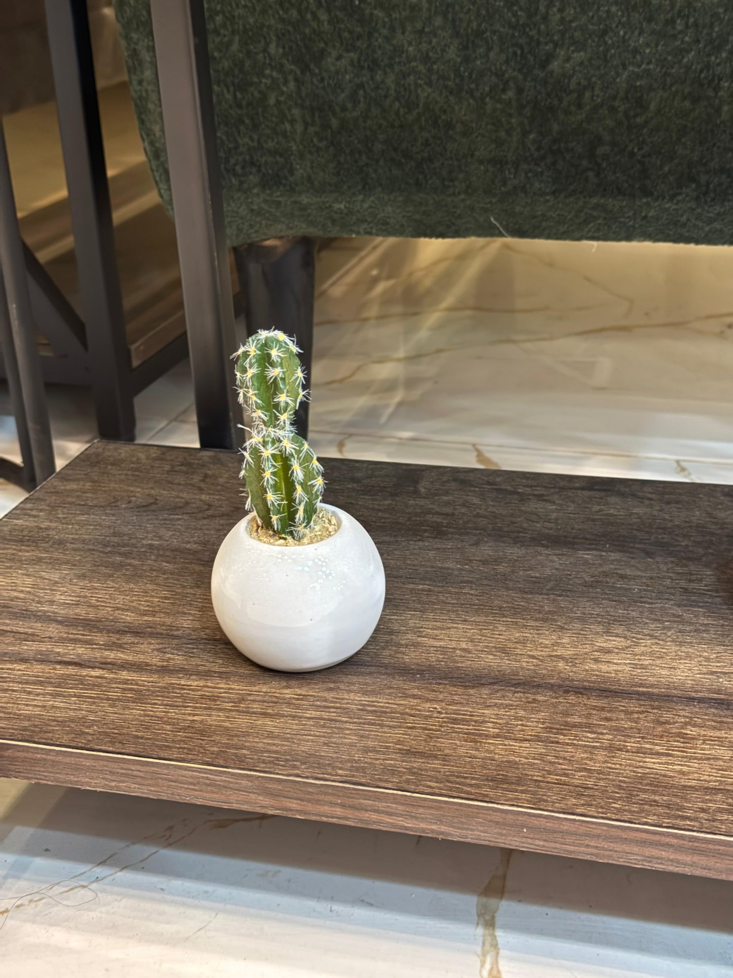 Mini Artificial Cactus in White Ceramic Pot – Modern Minimalist Home Decor by Life Standard Furniture