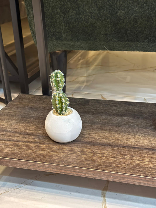 Mini Artificial Cactus in White Ceramic Pot – Modern Minimalist Home Decor by Life Standard Furniture