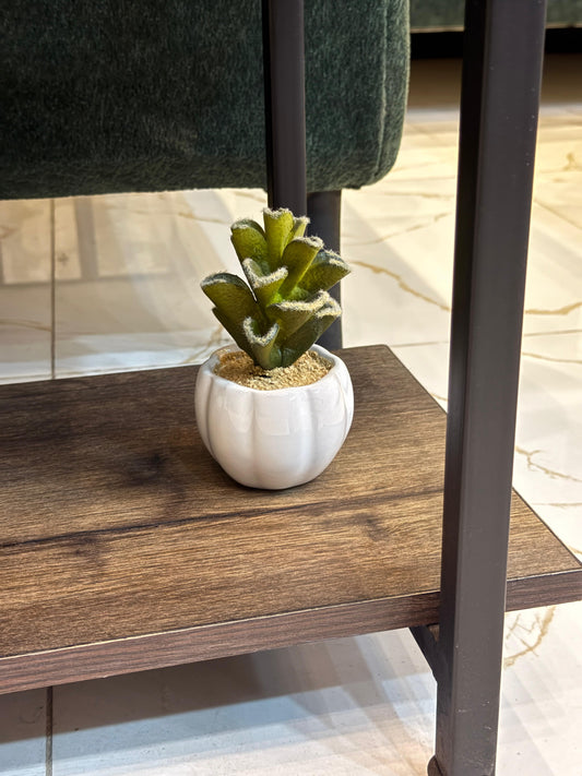 Mini Artificial Succulent in Scalloped White Ceramic Pot – Elegant Tabletop Decor by Life Standard Furniture