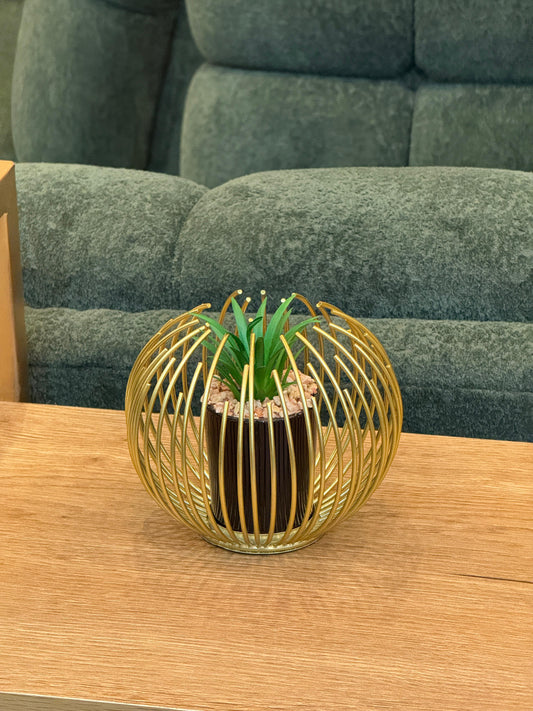 Golden Cage Artificial Succulent Plant