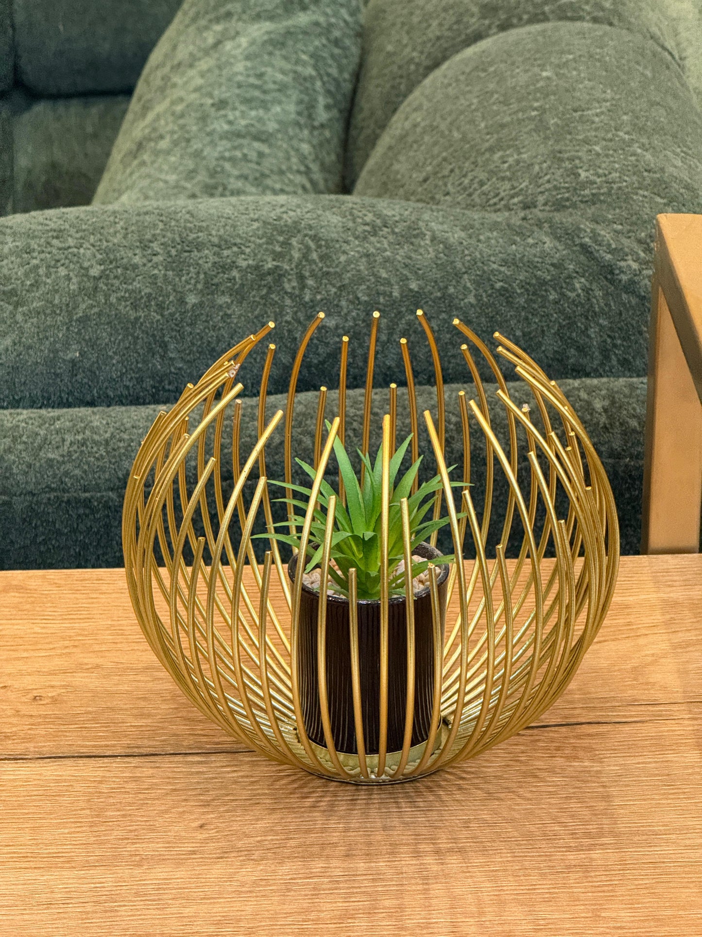 Golden Cage Artificial Succulent Plant